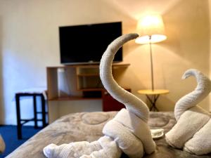 Habitación acogedora en el centro de Cuenca