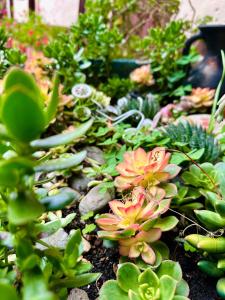 Habitación acogedora en el centro de Cuenca