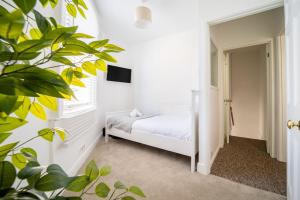 Larkhall Retreat- Village Centre, Parking, 4K TVs, 10mins To City Centre