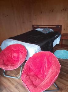 REFUGIO EN EL RI0, Curiñanco