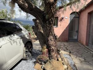 HOST4U - VILLA CUCCARELLO with Stunning View on The Valley