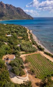 La PAVONCELLA 2 img27