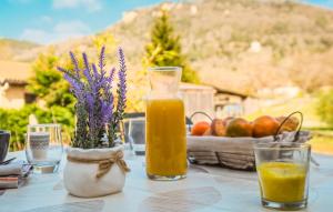 Maisons de vacances Cozy Home In Saint-Vincent-De-Cosse : photos des chambres
