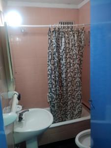 Departamento zona microcentro