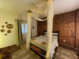 Kemer Room in a sharing apartment