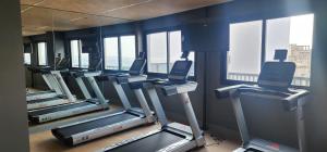 Studio na Árvore no Centro do Rio