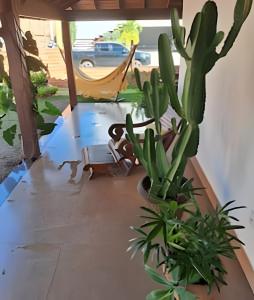 Casa paradisíaca em São Pedro da Aldeia RJ