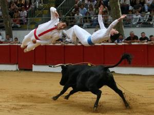 Appartements Charmant appartement 6 pers avec jardinet, parking securise - FR-1-379-181 : photos des chambres