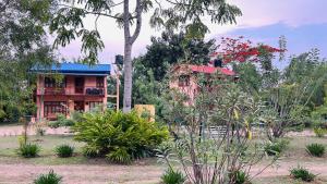 Tamarind Tree Masinagudi