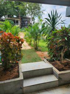 Kopan House View point