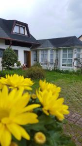Pension Elbrs