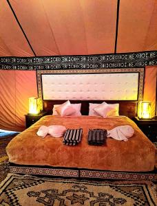 Habibi Luxury Camp