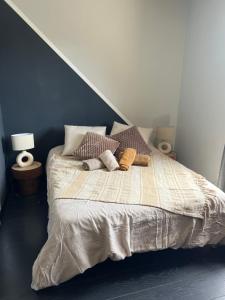 Appartements Reflets de montagnes : photos des chambres