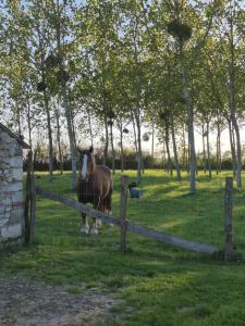 À la campagne