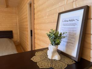 Pühajõe Holiday Park