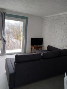 Maisons de vacances Le gite du Noyer : photos des chambres