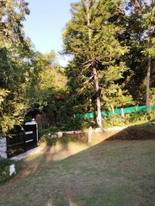 Serene Lodge