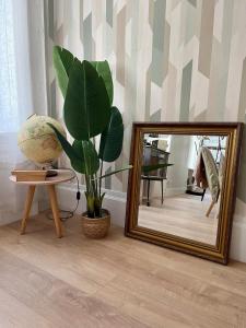 Appartements Le grand Louis, hypercentre : photos des chambres