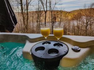 Paws & Peaks Lakeview Lodge Hot Tub Amazing View