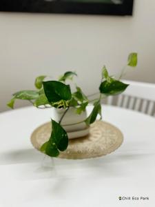 Huế Chill Eco Park