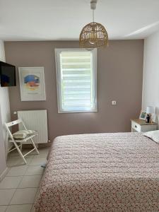 Appartement 1 chambre avec piscine