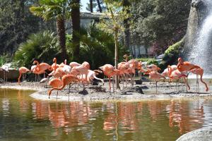 Appartements Maison Guy-Nadette : photos des chambres