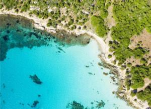 Blue Portisco img21