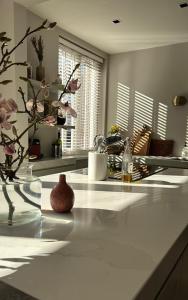 Luxurious, spacious appartment