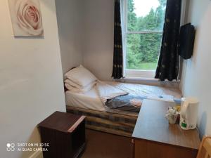 Sussex Lodge Guest House