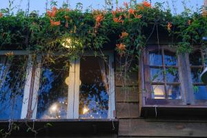 Cú Trên Cây Homestay