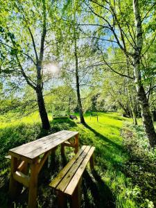 Karavan v březovém háječku