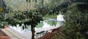 Vythiri Olive Garden