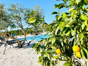 Traumhaftes Apartment mit Pool in Rogoznica