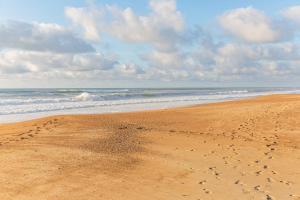 Le Landais - Wifi - Terrasse - Plage