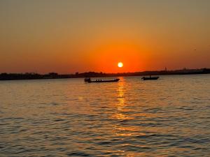 Appartements Appartement vue mer expose sud a Carantec : photos des chambres