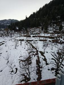 deja view orchard, old manali