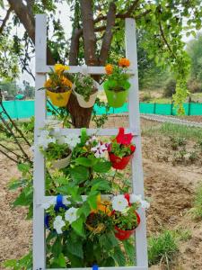 Vaikunth Mudhouse, A Heritage Boutique Homestay