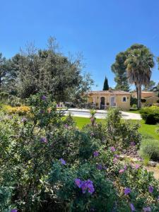 B&B / Chambres d'hotes Villa Taradis : photos des chambres