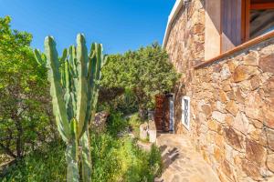 Fiokky by DomusAway img9