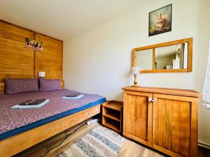 Carpathian cabin - Icelandic horses - Hestur Ivo