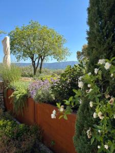 Maisons d'hotes Le jardin suspendu : photos des chambres