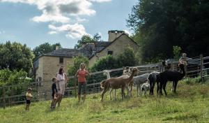 Appartements La Ferme des Andes - Gite l'Atelier : photos des chambres