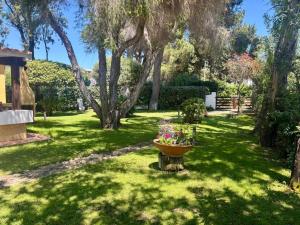 Villa Giò Geremeas fronte mare img15