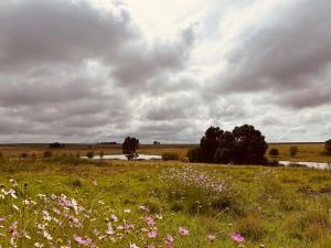 Lourenza Wild en Plaas Lodge