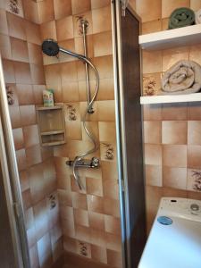 Maisons de vacances a l-oree du bois : photos des chambres