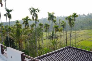 The Calm County Homestay