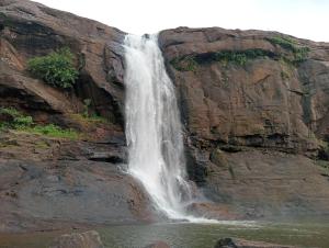 Boganvilla, Magic Land Resort