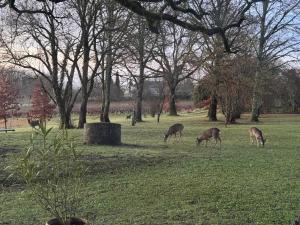 Bastide La Guilhabertie