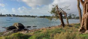 Appartements Du bonheur a la cle - T2 hyper centre : photos des chambres