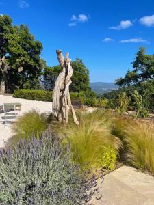 Authentic renovated villa, pool, magnificent view